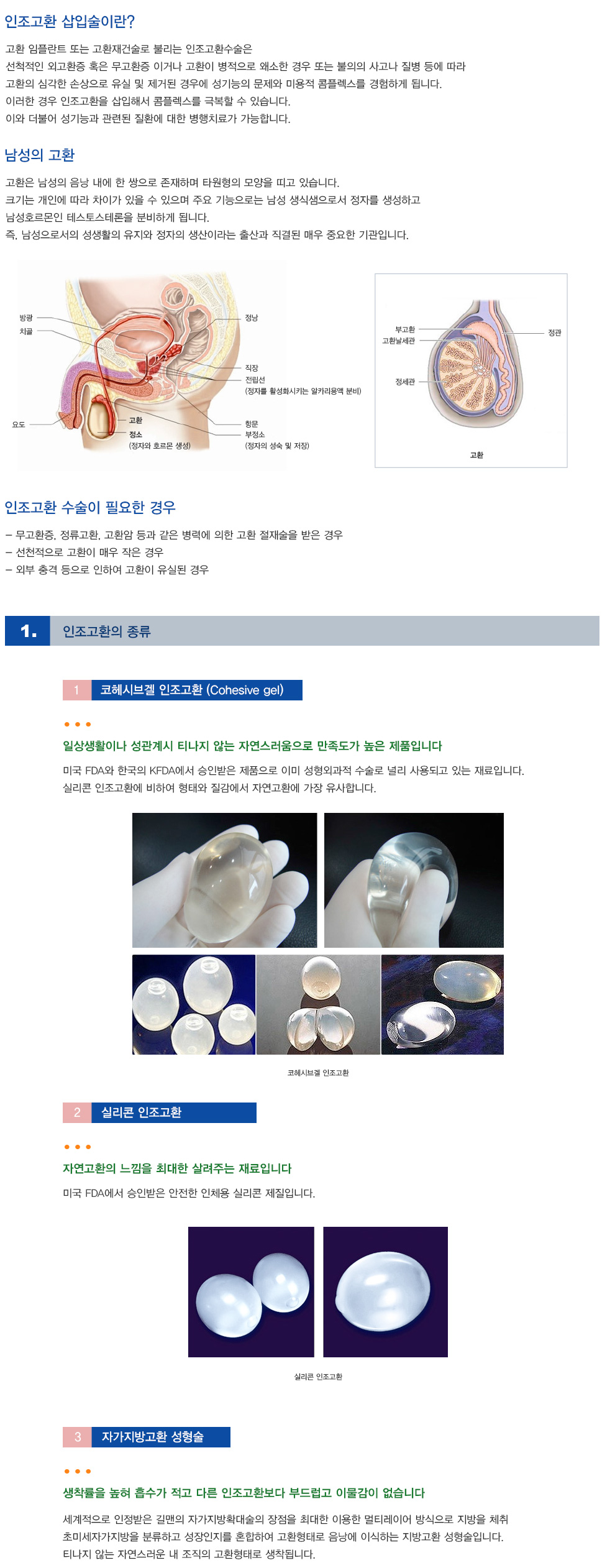 인조고환 수술